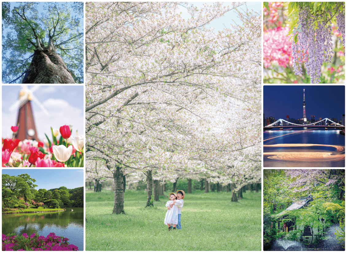 【3/26(水)作品募集開始】春のTOKYO Instagramフォトコンテスト2025　～都立公園・庭園・隅田川でたのしむ春～