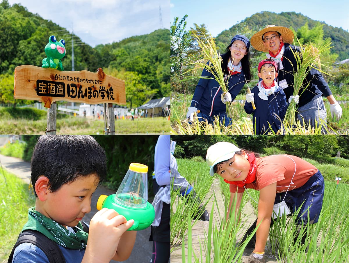 宝酒造「田んぼの学校」2024 参加者募集を開始