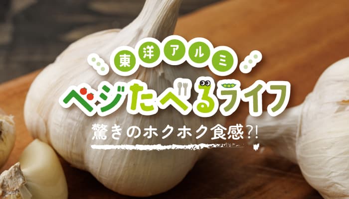 季節のお野菜にまつわるコンテンツ「ベジたべるライフ」にて ニンニクのコラムを公開!