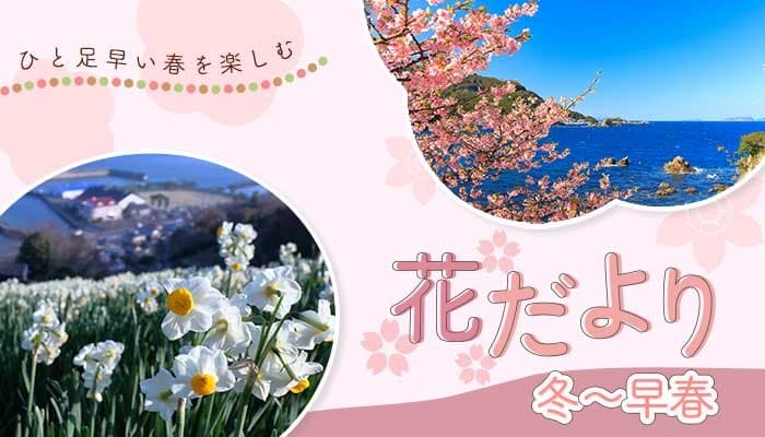 ひと足早い春の訪れを満喫！ 「冬〜早春の花だより」特集ページを公開