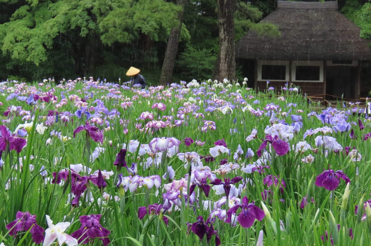 【小石川後楽園】夜間特別開園決定！ライトアップで幻想的な大名庭園に江戸城下のにぎわいを演出「秋の夜長の小石川後楽園」9月27日(金)から10月6日(日)まで開催！