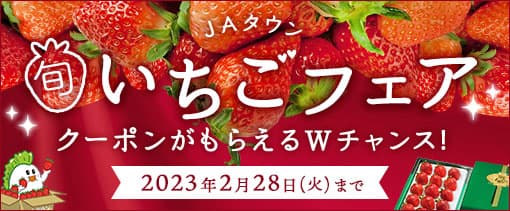 今が旬のいちごと柑橘の人気品種が勢揃い！ 産地直送通販サイト「ＪＡタウン」でいちごフェア＆柑橘フェアを開始！