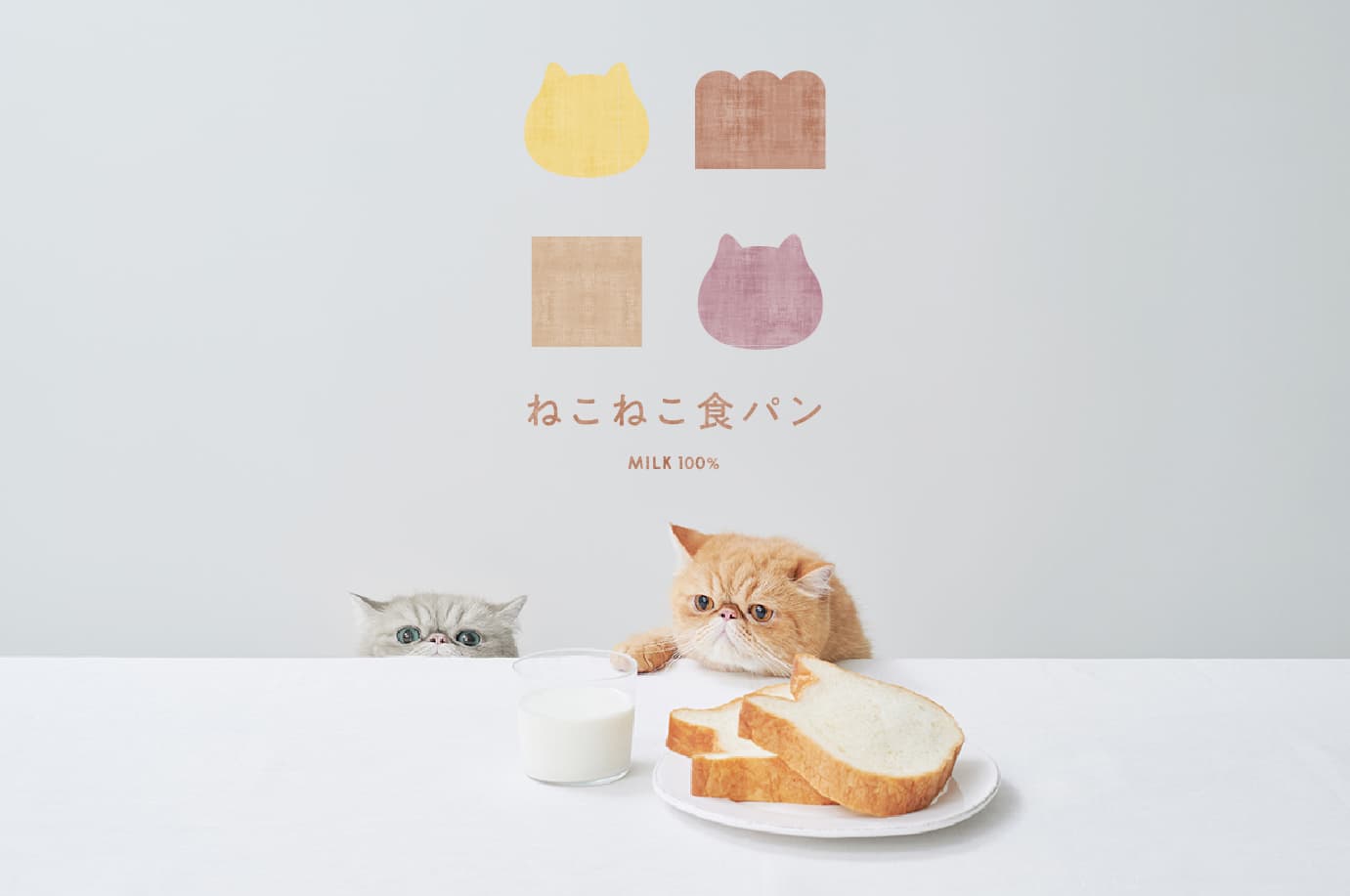 【大阪・愛知】ねこの形の高級食パン専門店「ねこねこ食パン」が2店舗同時オープン！