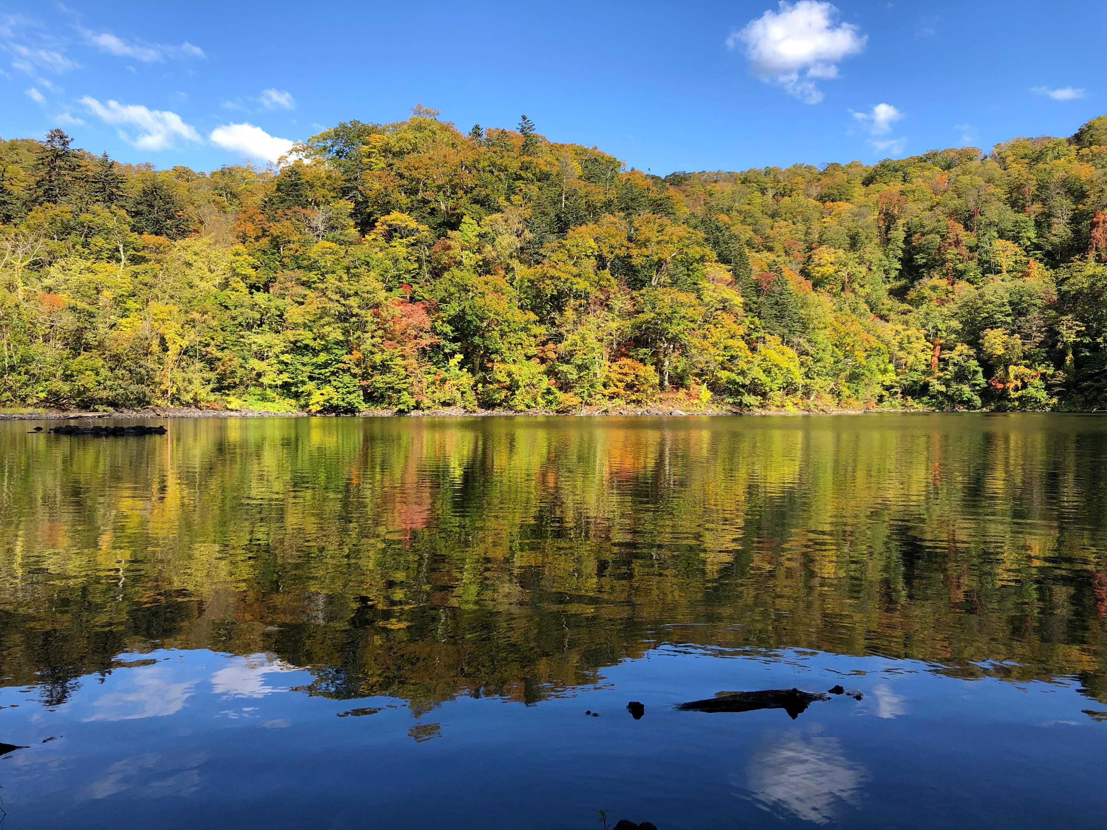 【北海道ニセコ】初雪間近！美しくも短い紅葉シーズンが到来！