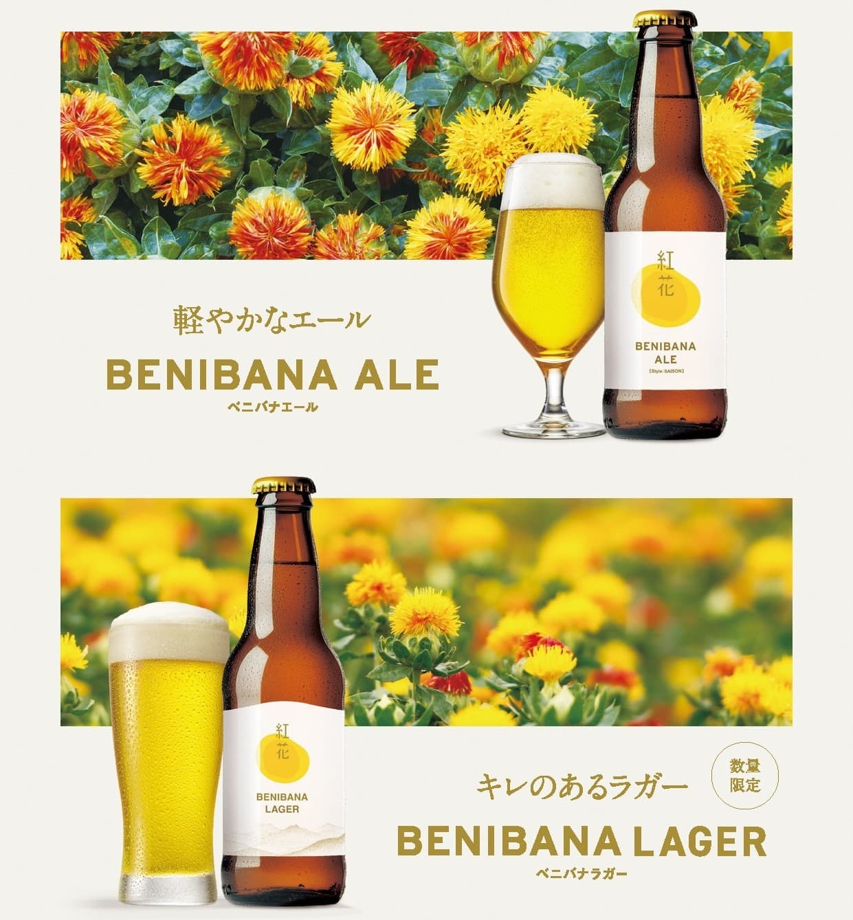 【新商品発表会開催】山形県産紅花×クラフトビール!「BENIBANA ALE」「BENIBANA LAGER」誕生
