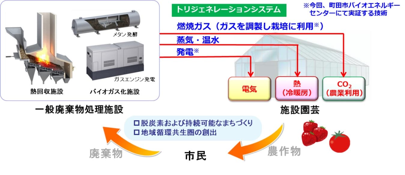 ごみ処理施設で生じる燃焼ガス中のCO2をイチゴ栽培に利用する実証を開始