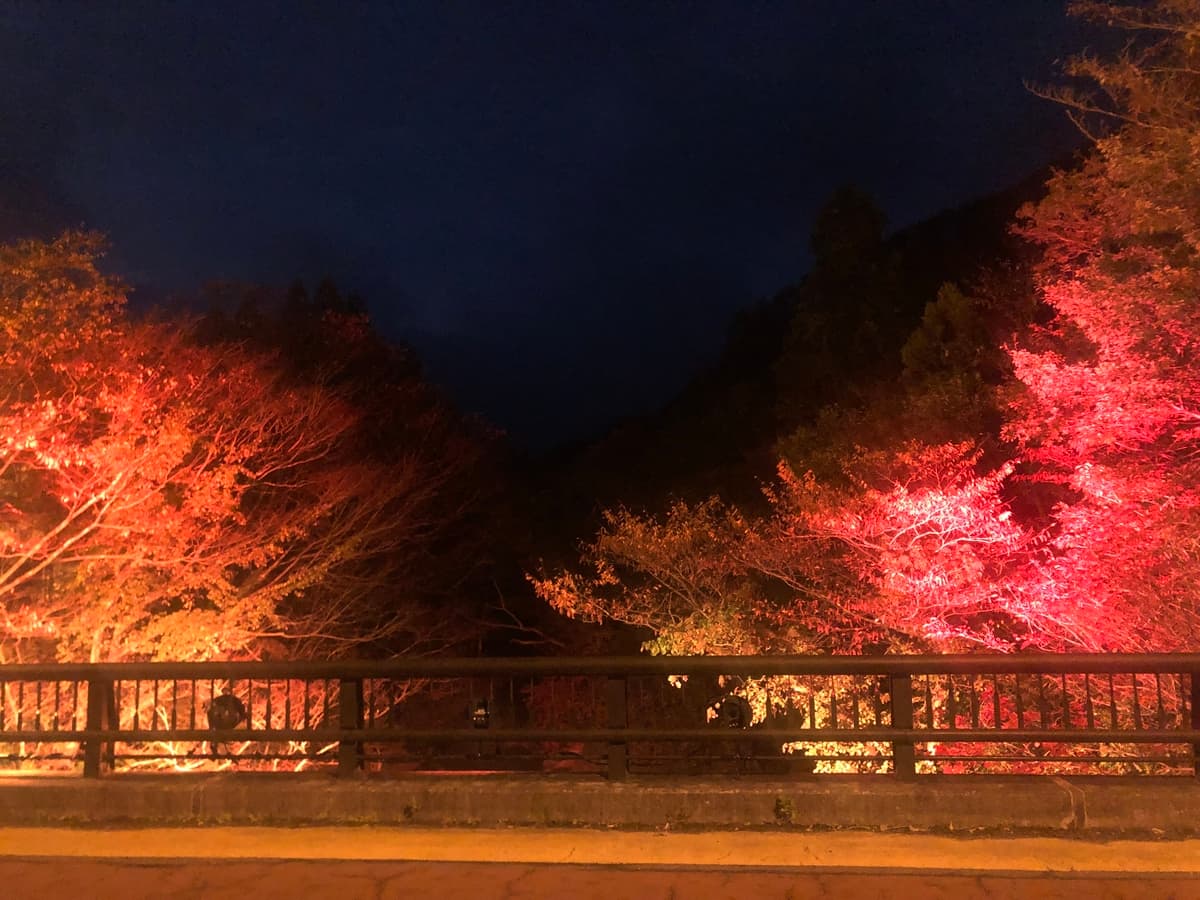 紅葉を楽しむ秋の夜！仙台・作並温泉「湯神神社ライトアップナイト」で心癒される体験を