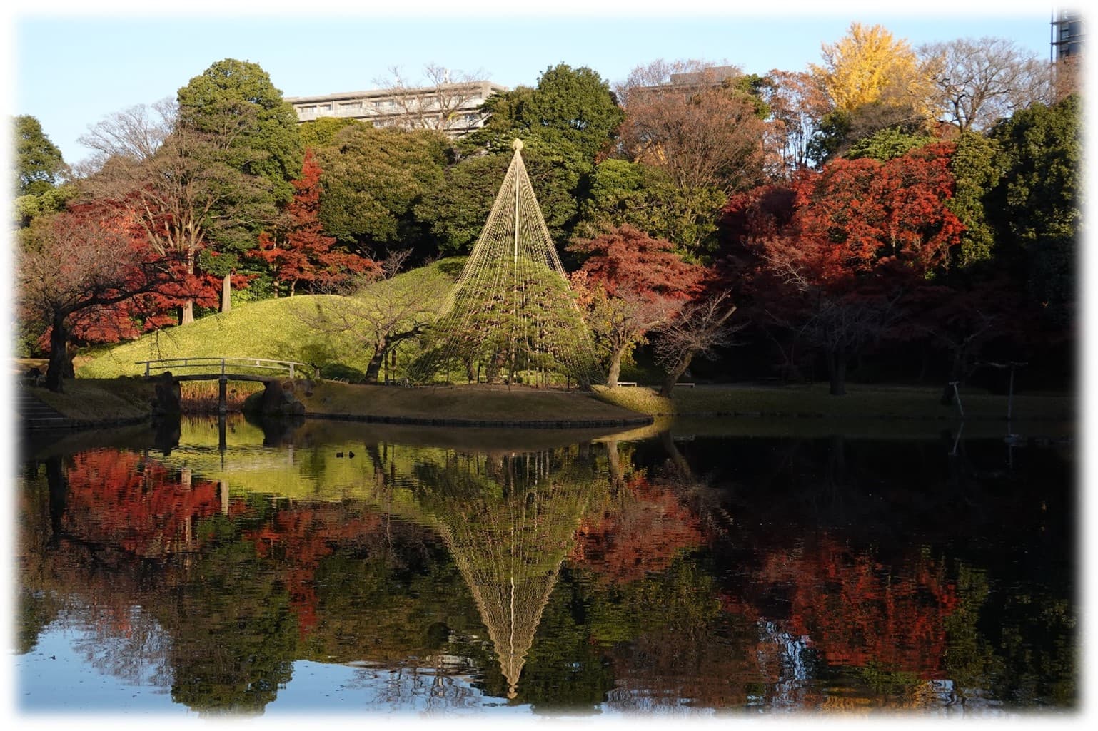 【小石川後楽園】約400本のイロハモミジで紅く染まる大名庭園で「深山紅葉を楽しむ」(11/16～12/8)特別企画決定！