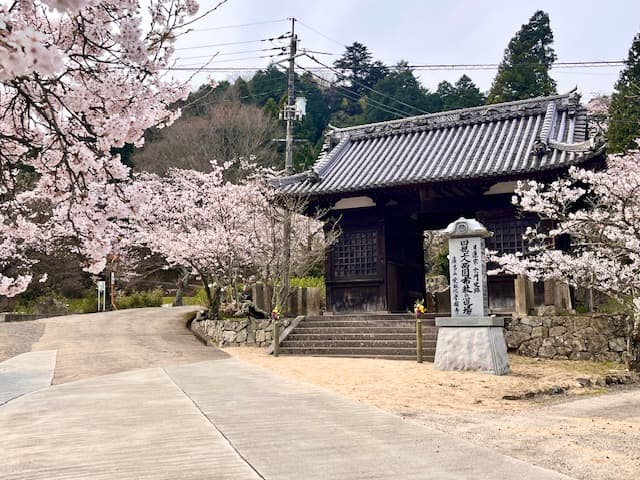 【広島県福山市】足利義昭ゆかりの常國寺で春の桜まつり開催