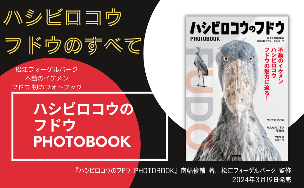 松江の“アイドルハシビロコウ”フドウの魅力に迫る『ハシビロコウのフドウ PHOTOBOOK』3月19日刊行