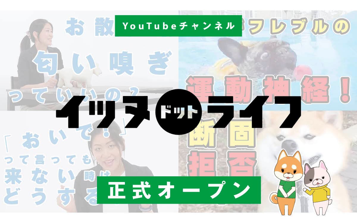 akanu、犬専門YouTubeチャンネル「イッヌドットライフ」を正式オープン！ 専門家によるお役立ち情報や、人気インスタグラマー動画、内山勇士監督の新作などを収録