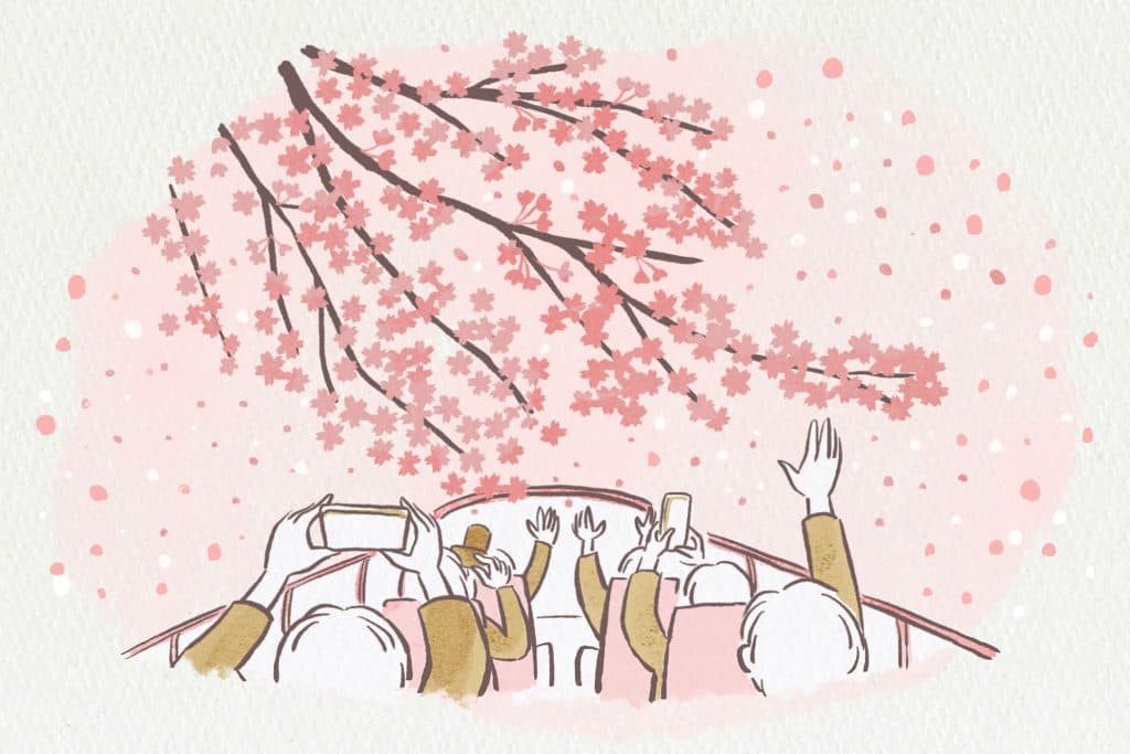 【界 アンジン・界 伊東】伊豆でお花見めぐりができる「桜オープンバスツアー」実施