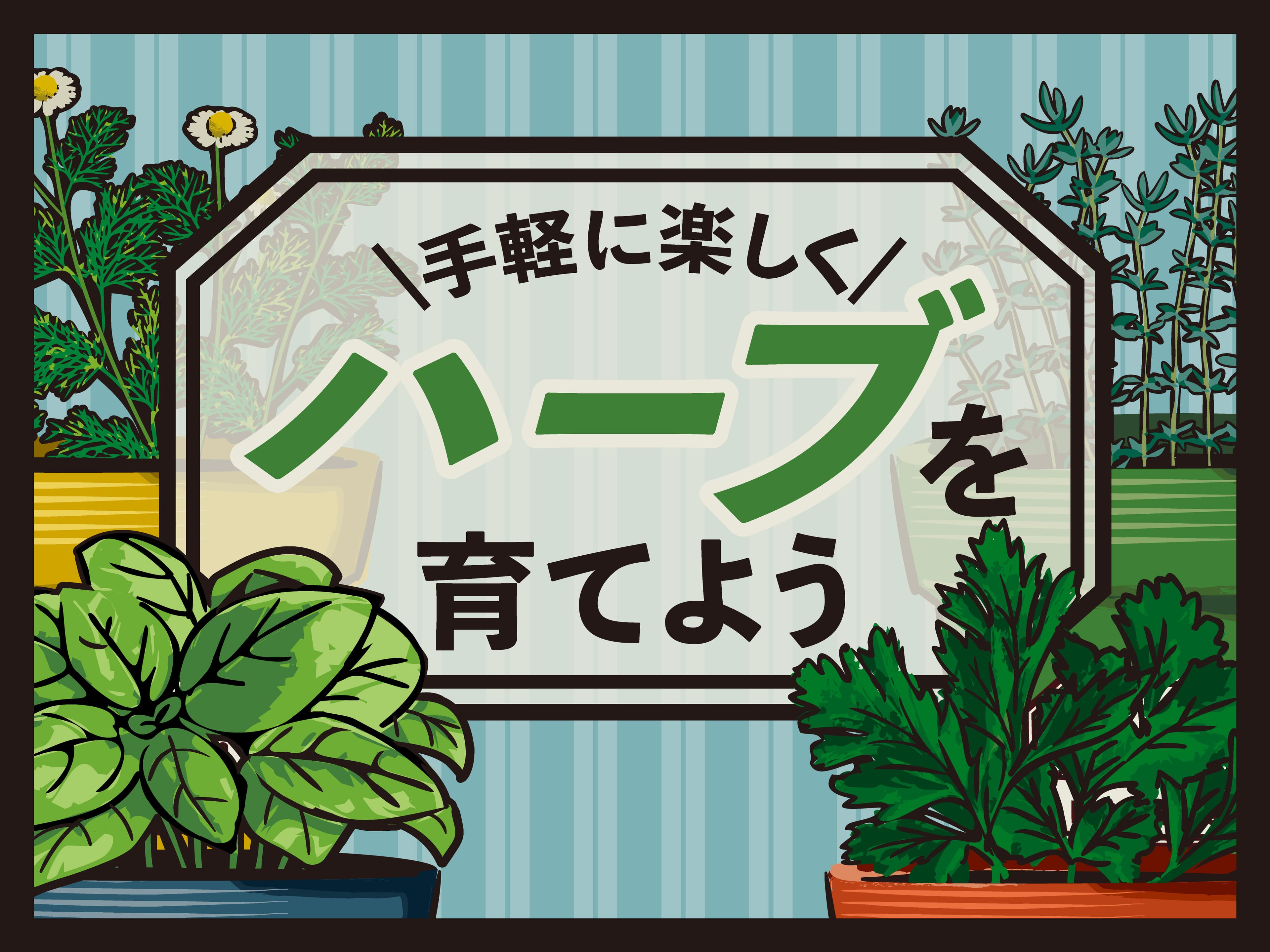 「手軽に楽しくハーブを育てよう！」オーサムストアのガーデニングツールで“春の楽しみ”増やしませんか？