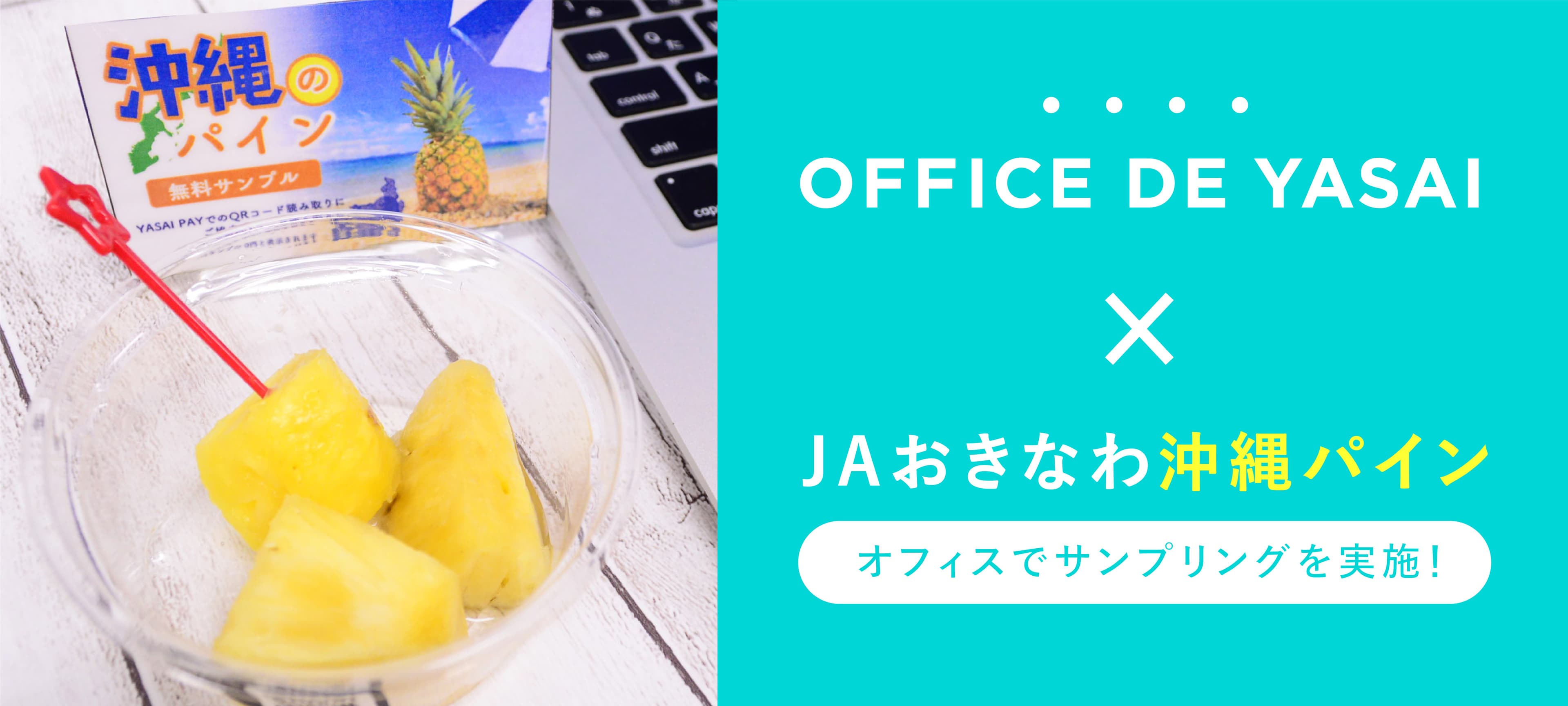 【JAおきなわ×OFFICE DE YASAI 】 企業のオフィスで“驚くほど甘い”「沖縄県産パイン」の冷蔵サンプリングを実施！