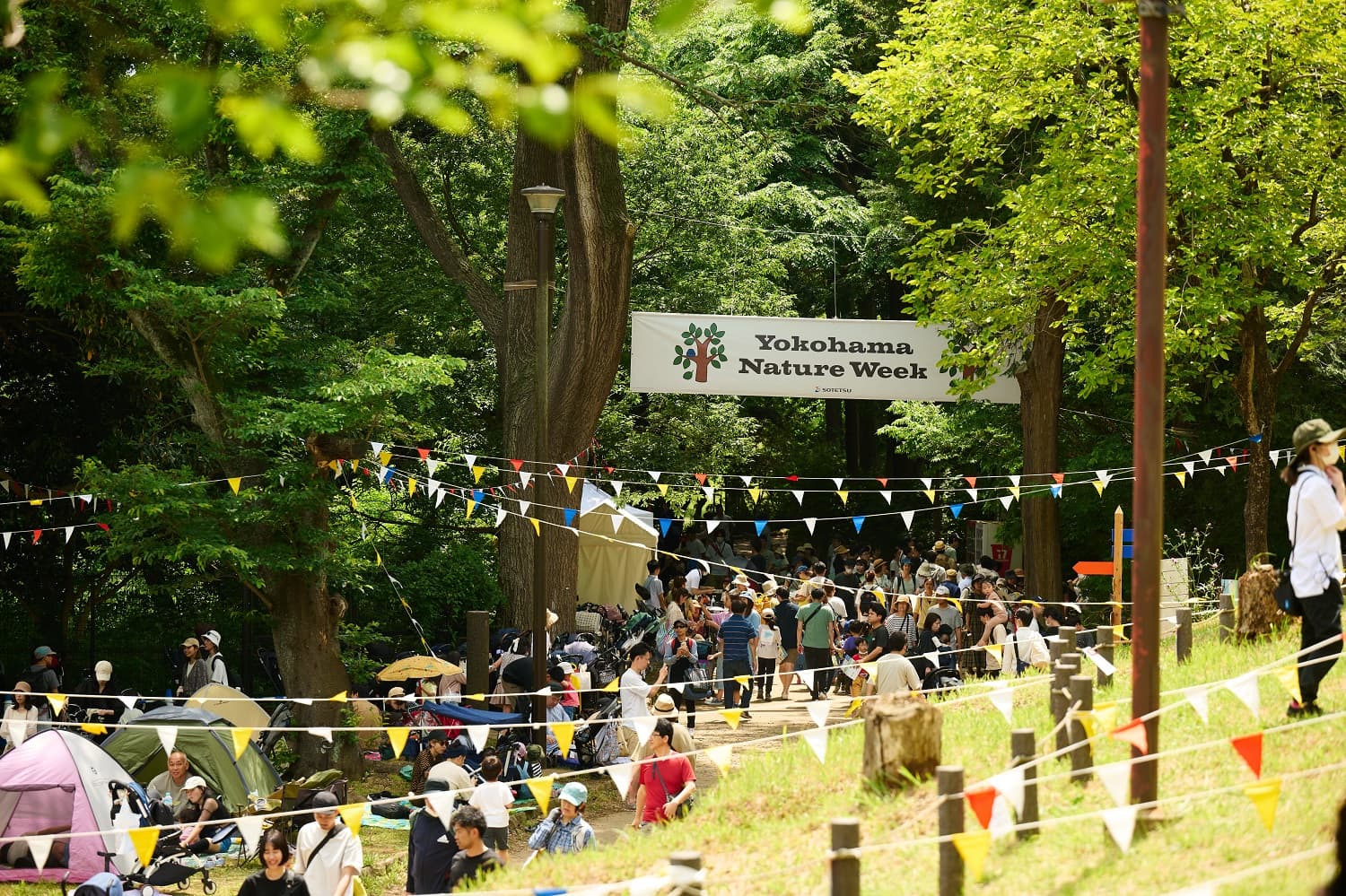 「Yokohama Nature Week（ヨコハマ ネイチャー ウイーク）2024」を開催【相鉄グループ・横浜市旭区役所】