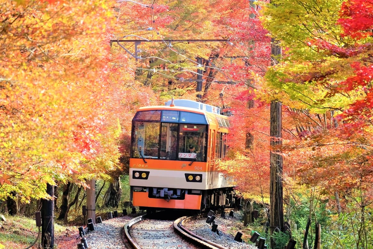 11月3日（金・祝）～26日（日）に「秋ダイヤ」を実施します