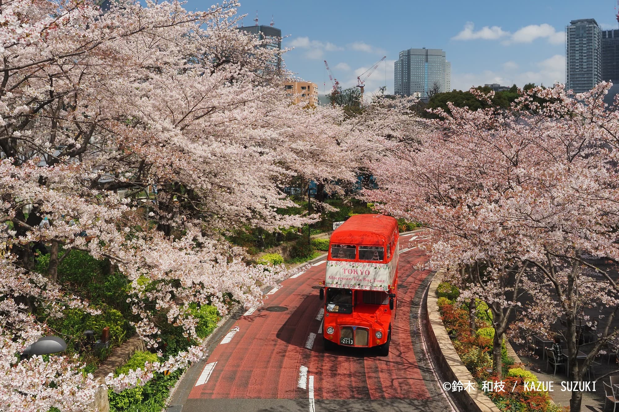 【毎年満員御礼!春限定?】混雑知らずの絶景お花見×春の特別アフタヌーンティー!