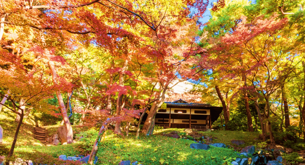 【殿ヶ谷戸庭園】11/3～「秋の催し」開催