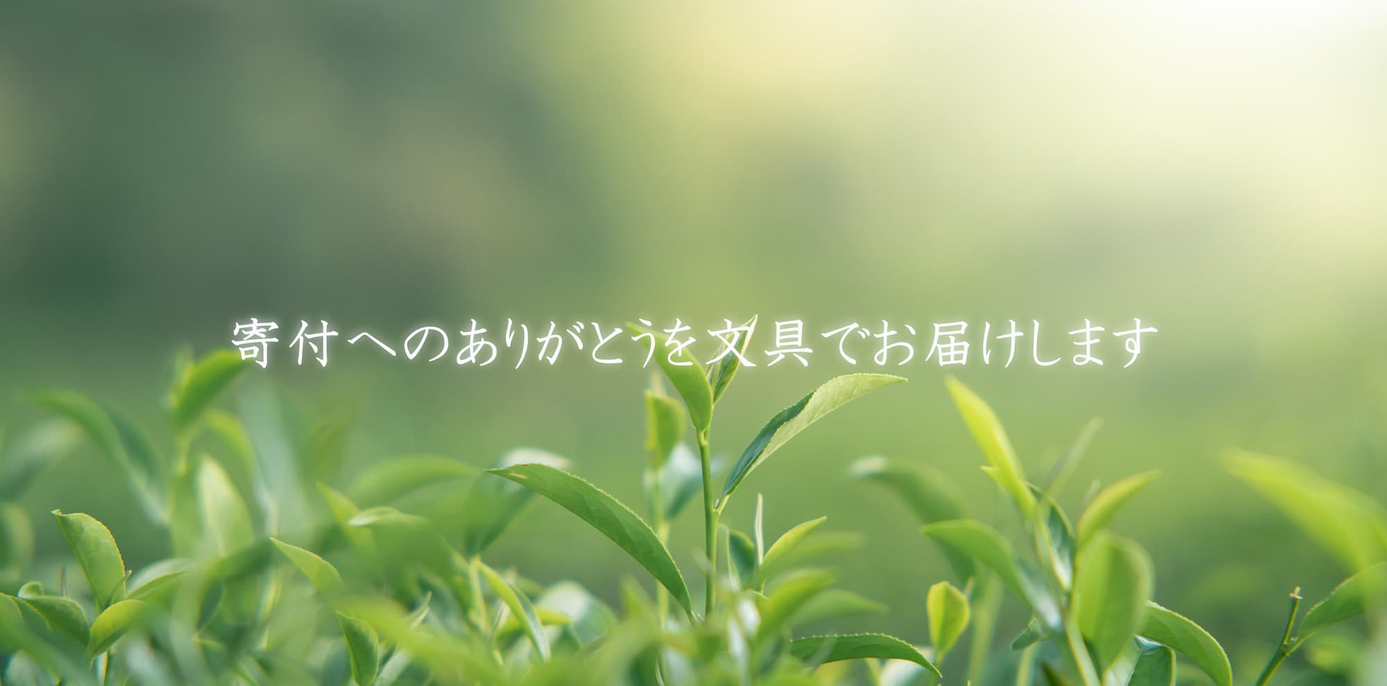 静岡県菊川市ふるさと納税 返礼品の提供を開始しました。