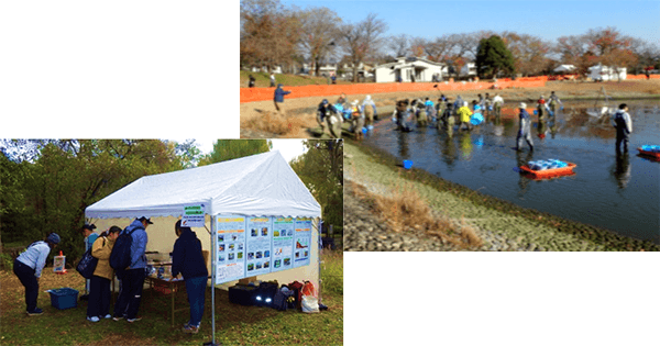 都立公園池でのかいぼりの実施日とボランティア募集について