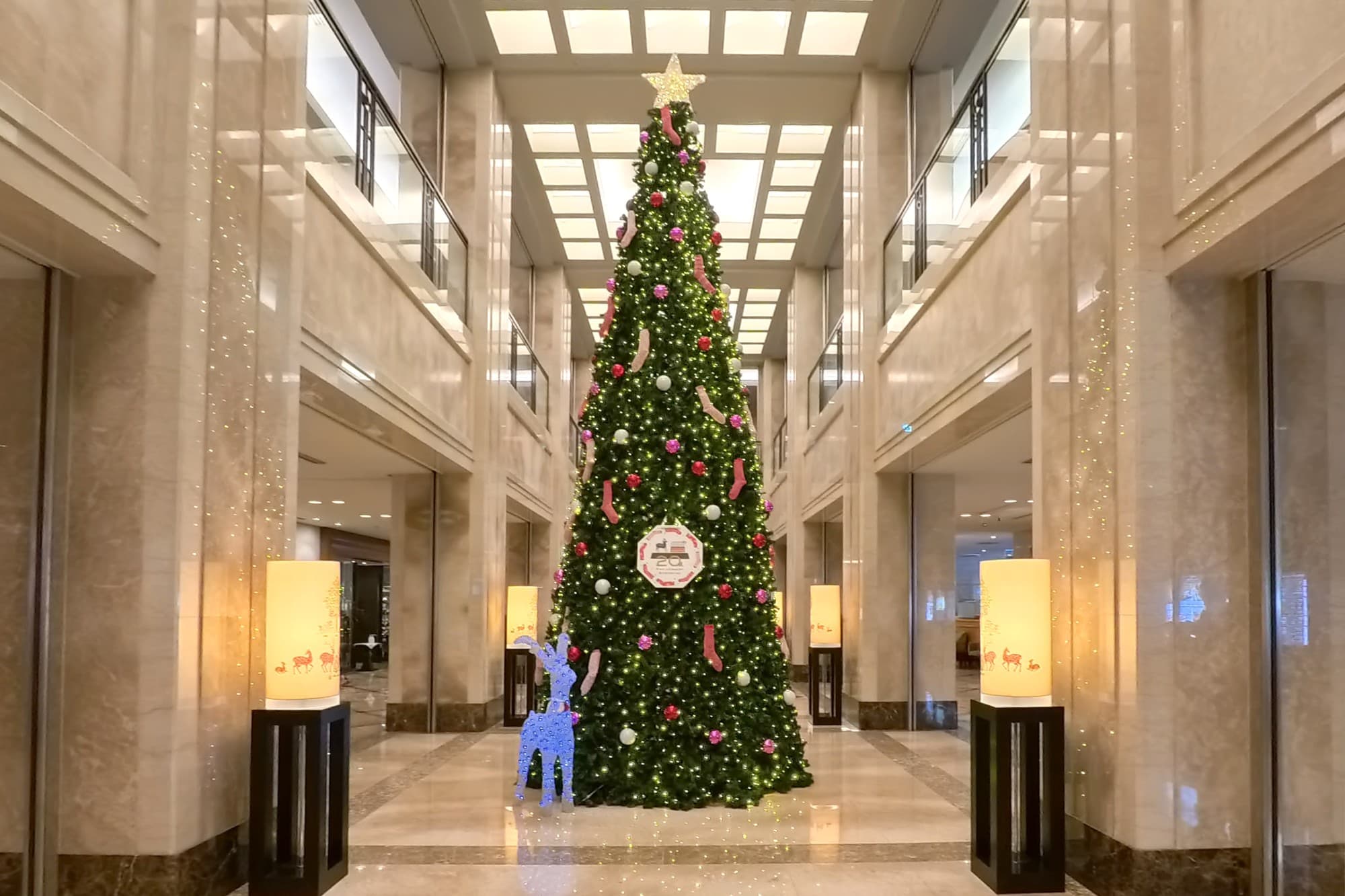 奈良の靴下工場の靴下が、巨大クリスマスツリーを華やかに彩る 「ホテル日航奈良」の20周年記念クリスマスツリーオーナメントに創喜のローゲージソックスが採用