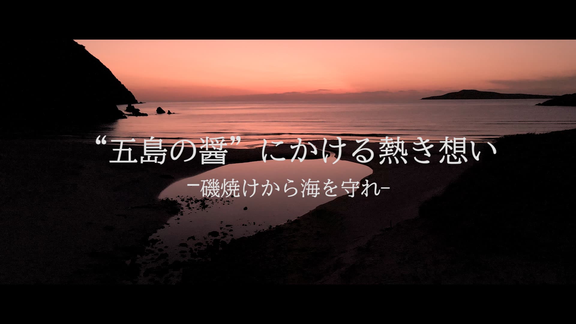 サステナアワード2021「みどりの食料システム推進賞」受賞 海底が砂漠化!? 五島列島の海を守れ！『五島の醤 にかける熱き想い』