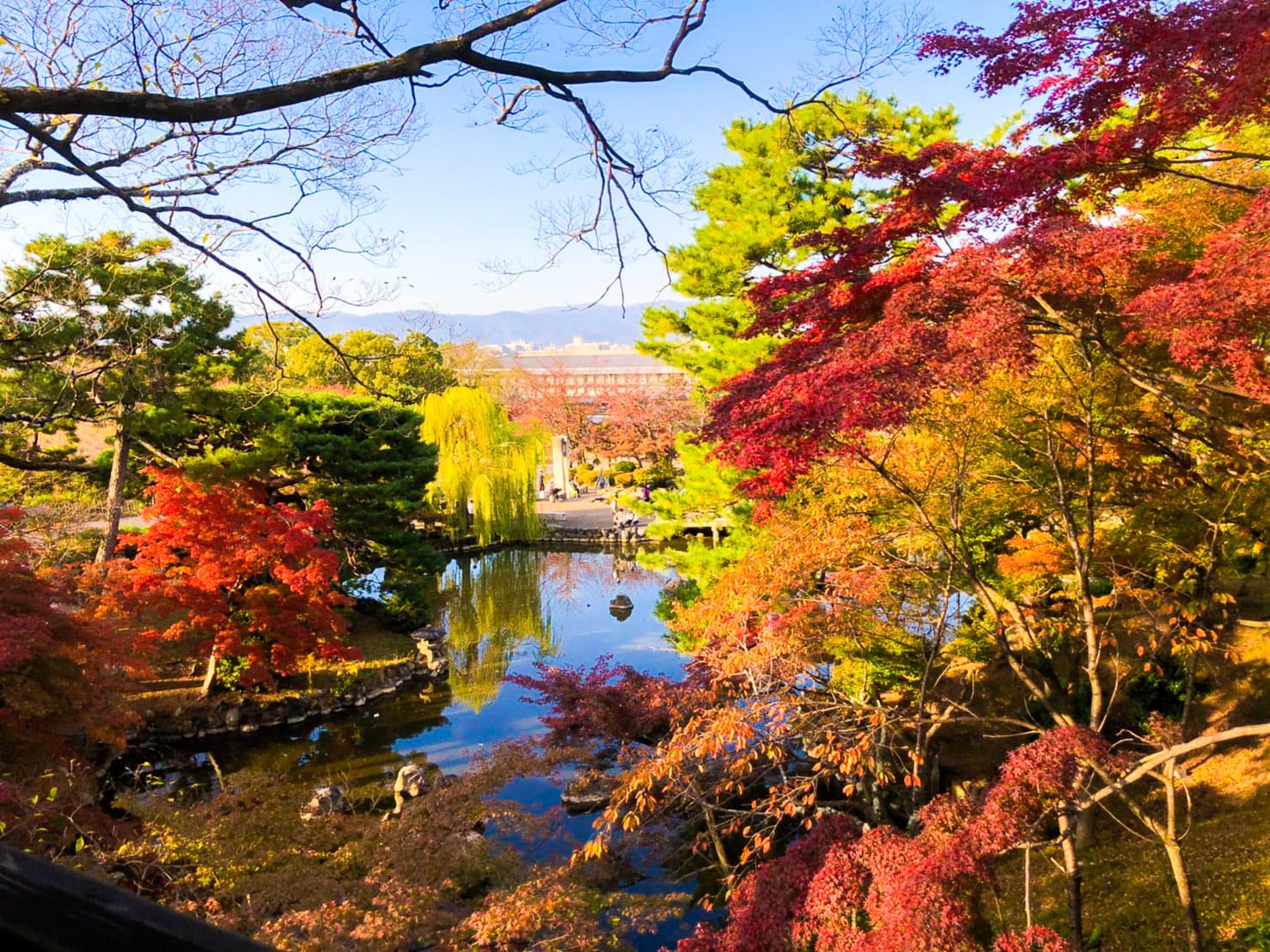 紅葉狩りと七輪団子が一度に叶える紅葉が見下ろせる　祇園の和モダンカフェ「eXcafe（イクスカフェ）祇園八坂」