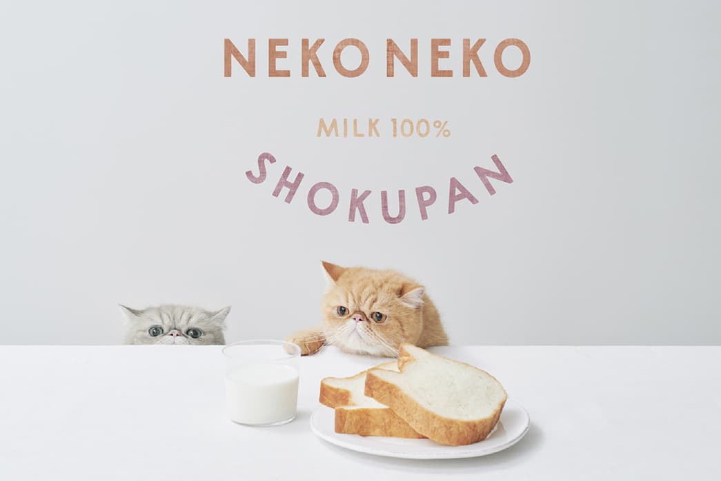 【2月22日(猫の日)より数量限定】ねこの形の高級食パン専門店「ねこねこ食パン」が、スペシャルパックを販売！