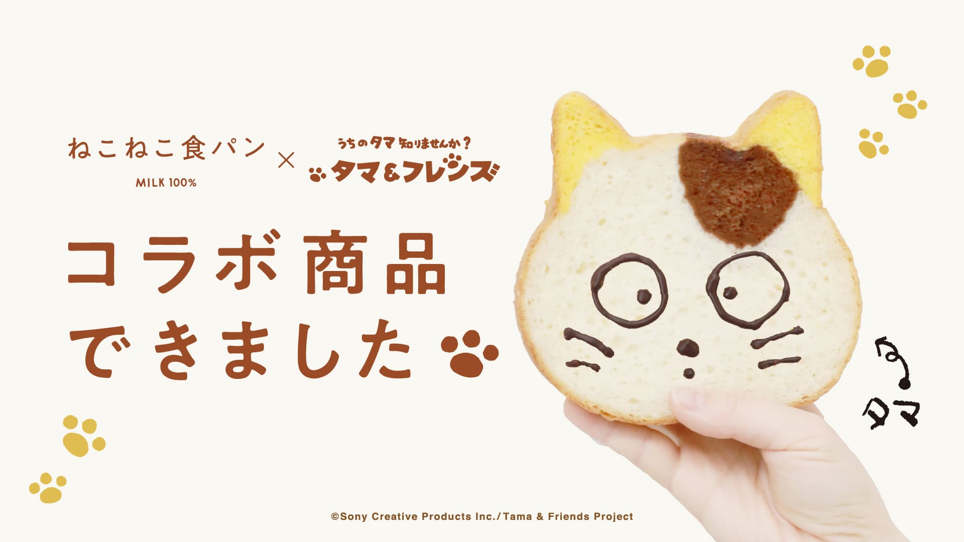 【うちのタマ描きませんか?】高級食パン専門店「ねこねこ食パン」と「タマ&フレンズ~うちのタマ知りませんか?~」のコラボ商品が数量限定で発売!