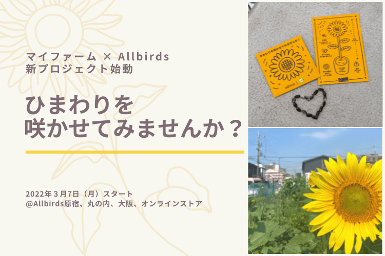 マイファームとAllbirdsが協同で気候変動を逆転させる新プロジェクト「ひまわりを咲かせてみませんか？」を3月7日開始