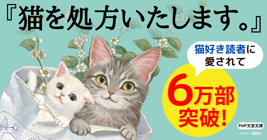 猫好きなら思わず買っちゃう！小説『猫を処方いたします。』が６万部突破で続編発売が決定。現在フォトコンテストも開催中