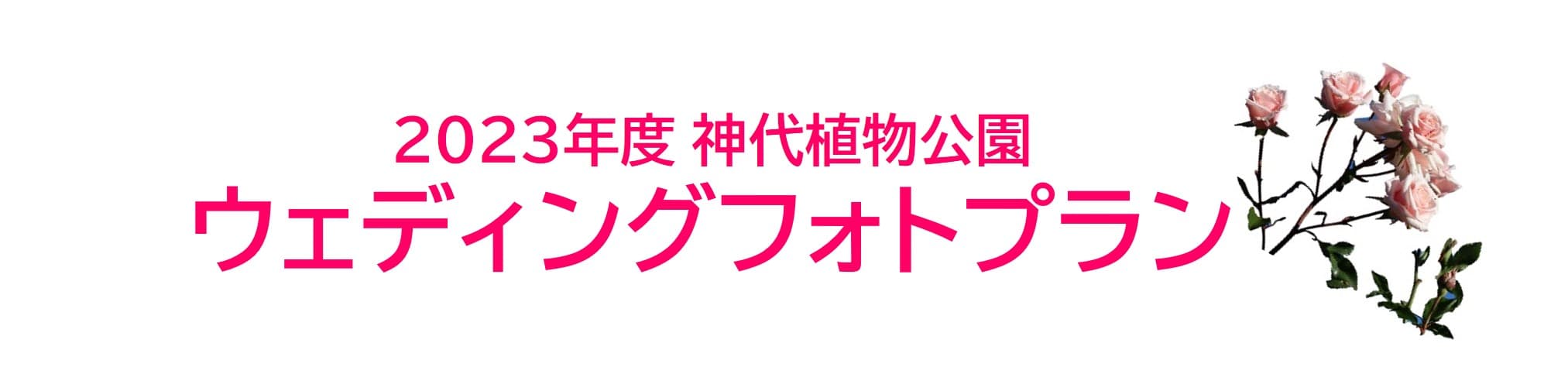 2023年度　神代植物公園　ウエディングフォトプランの参加者を募集します！