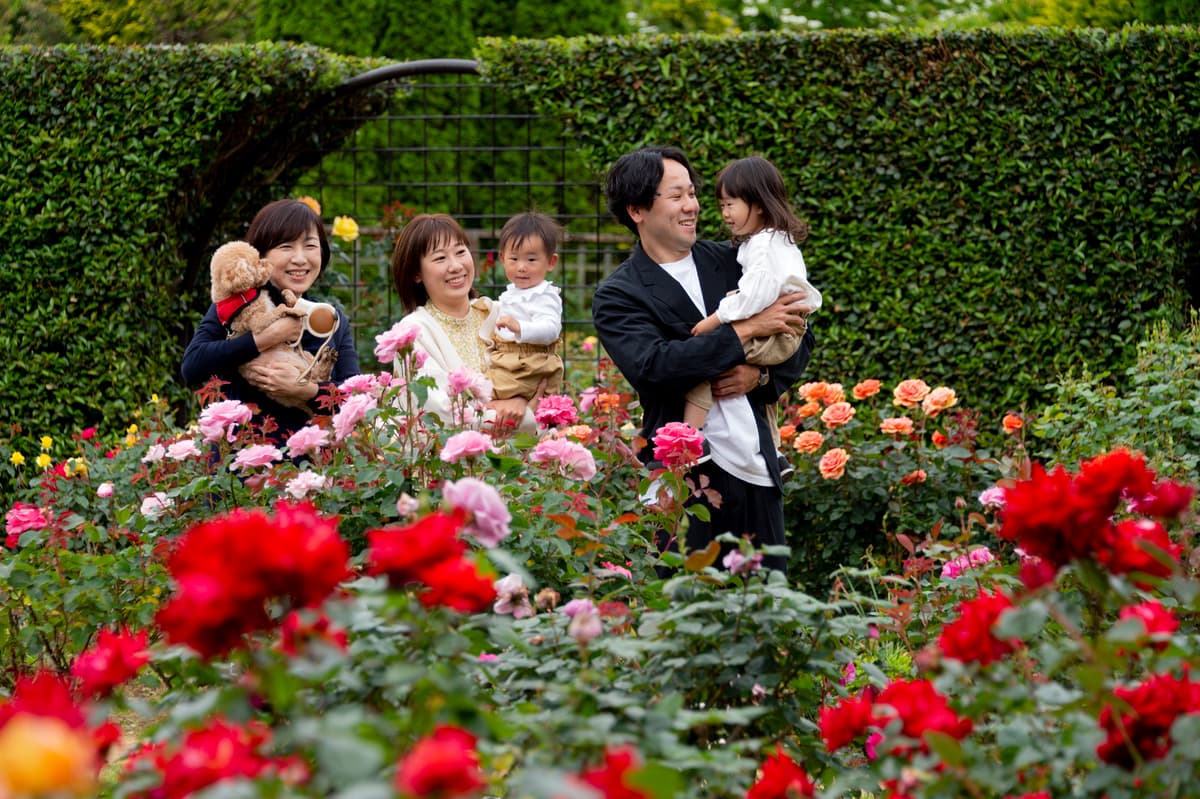 【清水公園】花ファンタジアのローズガーデンを彩る秋バラ