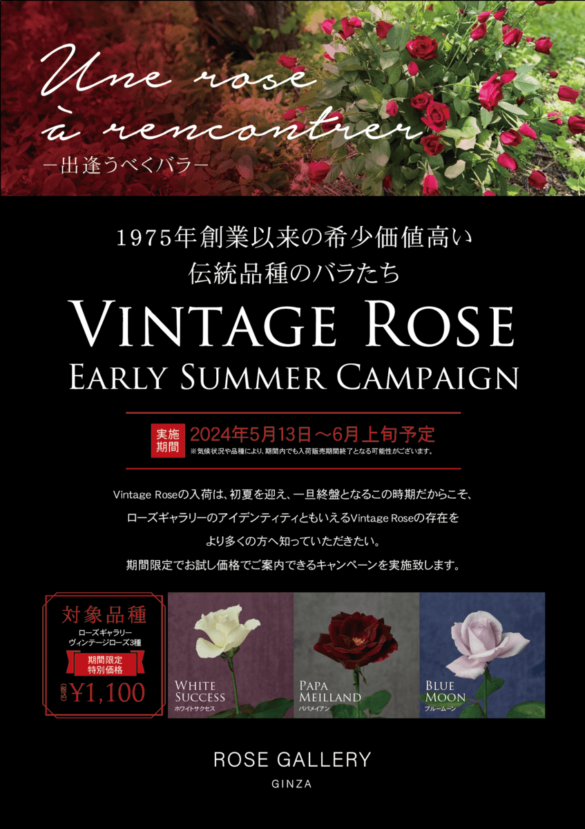 ローズギャラリーの歴史を語るバラ“Vintage Rose”に出逢う期間限定キャンペーン開催　『Une rose à rencontre』ウネ ロザ ランコーント ～ 出逢うべくバラ～