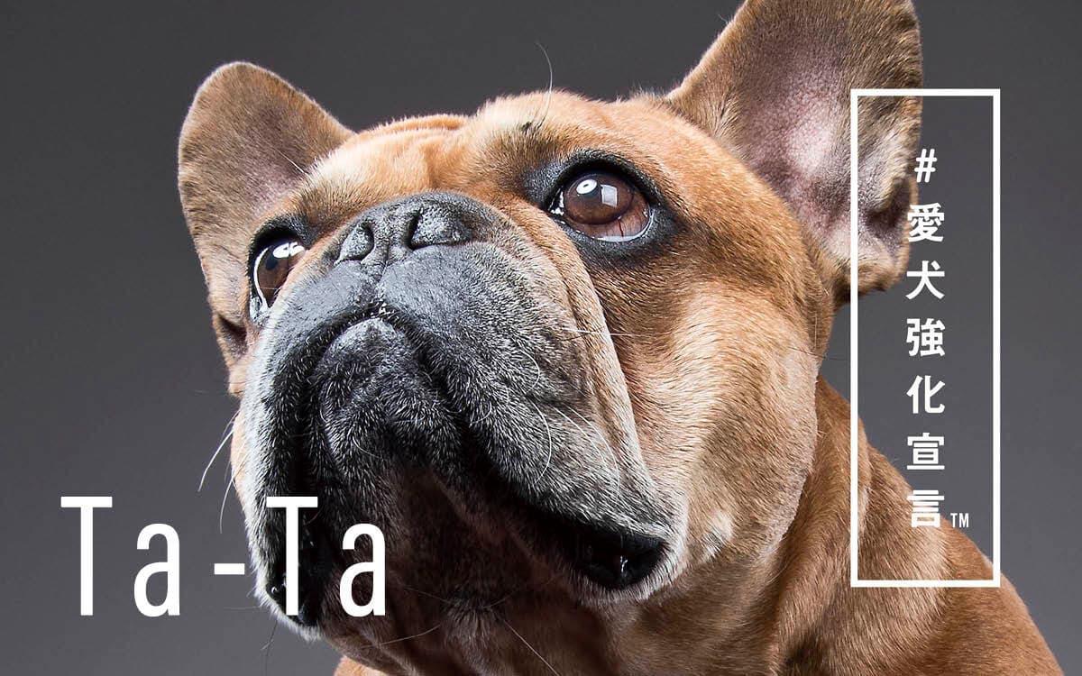 犬用コラーゲンサプリ「Ta-Ta」、愛犬との生活がより豊かになることを願う「#愛犬強化宣言™️」を開始