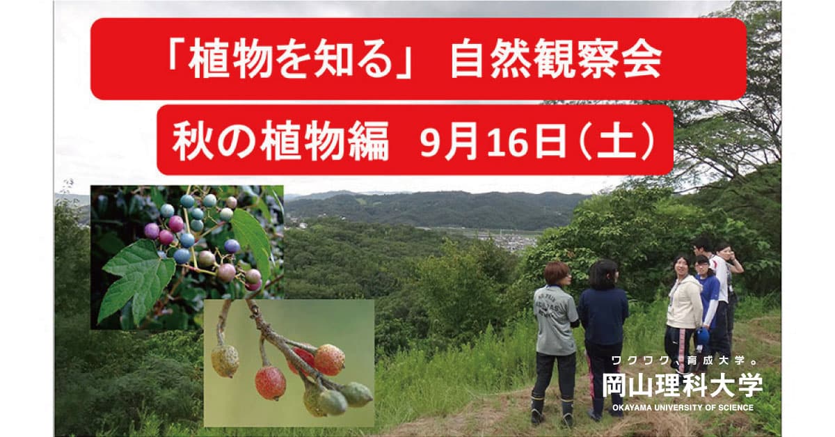 【岡山理科大学 自然フィールドワークセンター】「植物を知る」自然観察会　秋の植物編｜日時：2023年9月16日（土）10:00～開催！参加無料　7月13日より申込開始！