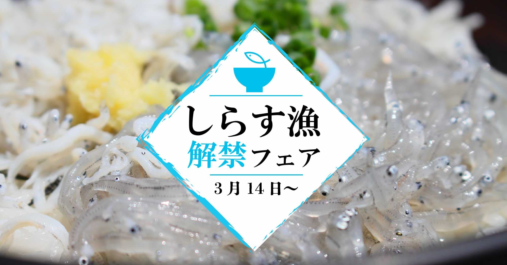 【2025年度のしらす漁がいよいよ解禁！】2025年3月14日(金)より、片瀬江ノ島駅から徒歩30秒の店舗はやのちかにて、「しらす漁解禁フェア」を開催いたします。