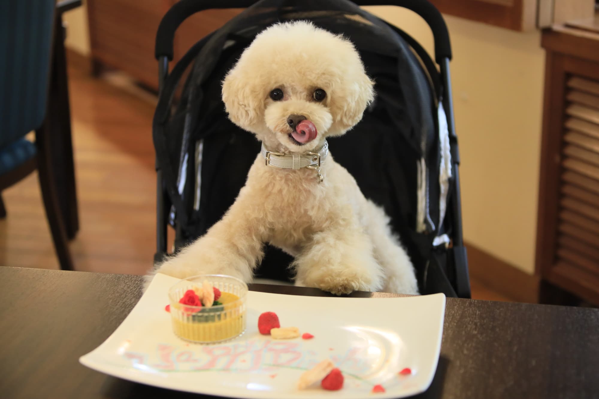 近隣“犬民”限定プランでお得なわんちゃん旅 愛犬のお食事付き＆わんちゃん利用料が無料に