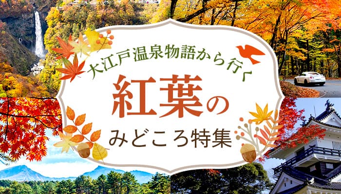 大江戸温泉物語が宿を拠点に楽しむ全国の紅葉情報をまとめた 「紅葉のみどころ特集」ページを公開