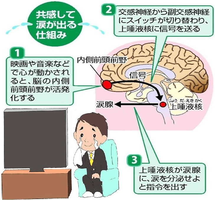 涙を流してストレス解消と免疫力アップを図る「涙活（るいかつ）」の専門家を育成