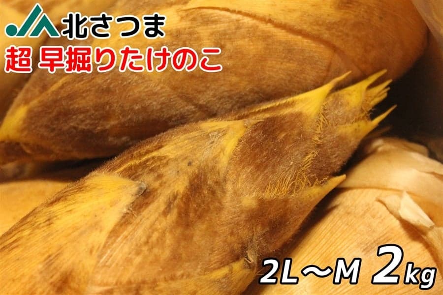 風味がよくシャキシャキとした食感が楽しめる！ 鹿児島県産ＪＡ北さつま“超早掘りたけのこ”が産地直送通販サイト「ＪＡタウン」で販売開始！