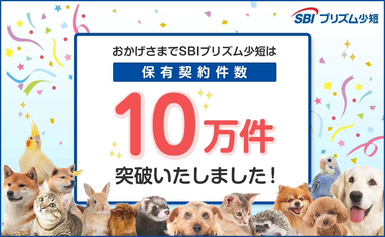 SBIプリズム少短、ペット保険保有契約件数が10万件を突破！