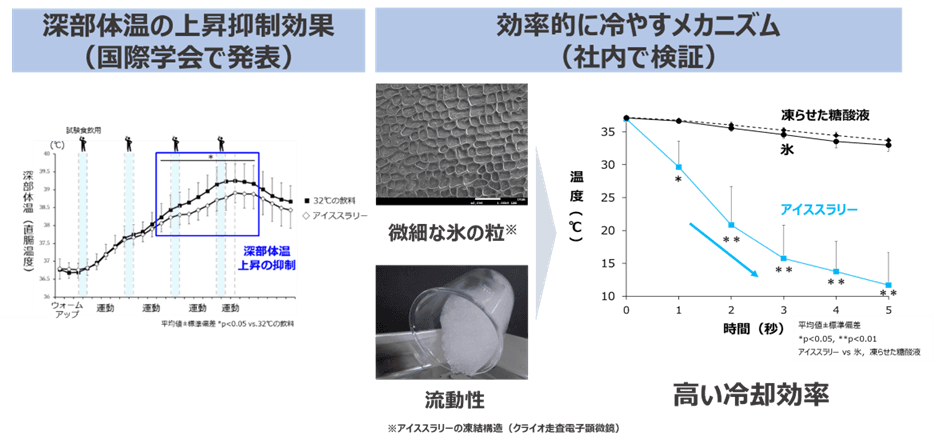 ＜夏の熱中症対策に向けて＞ アイススラリーが効果的に身体を冷やすメカニズムを検証