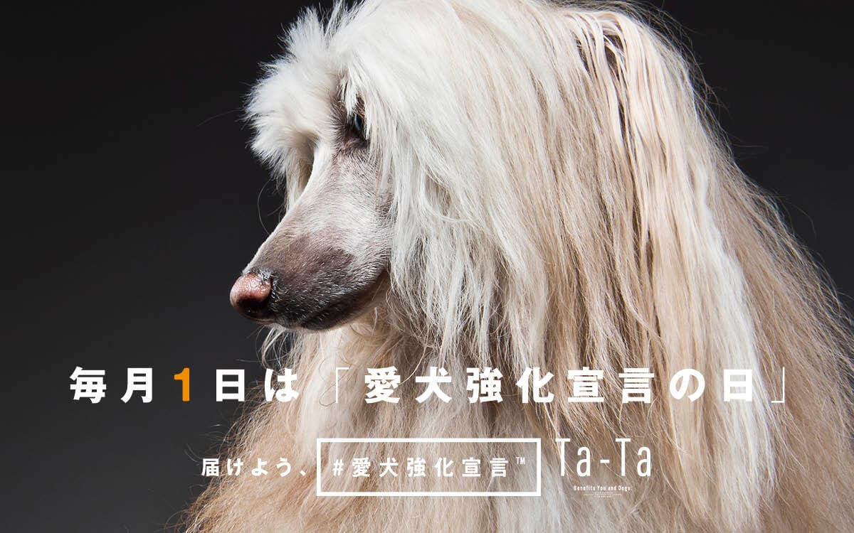 犬用コラーゲンサプリ「Ta-Ta」、毎月1日を「愛犬強化宣言の日」に制定！