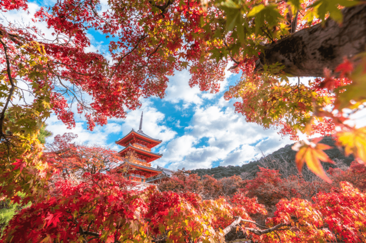 SBIいきいき少短×東京カメラ部 共同開催 Instagramフォトコンテスト「HAPPYな瞬間～カレンダーにしたい日本の四季～」入賞作品を決定！