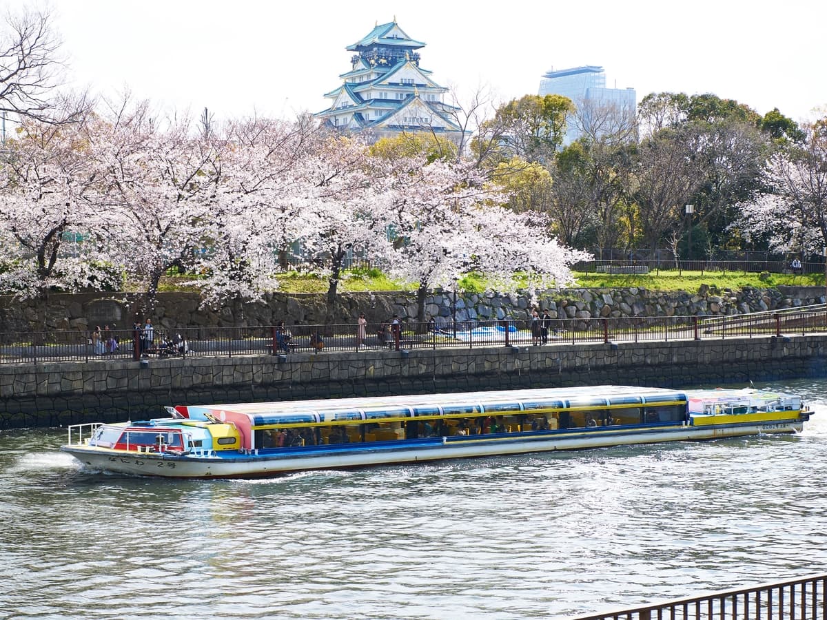 「大阪城お花見クルーズ」2025年2月1日（土）より一般予約受付開始！