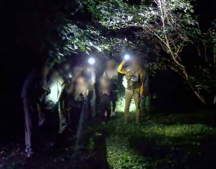 闇にうごめく昆虫を見つけよう!「夜の昆虫観察会 サマーナイトわくわく自然観察会」小山内裏公園で8月23日(土)開催