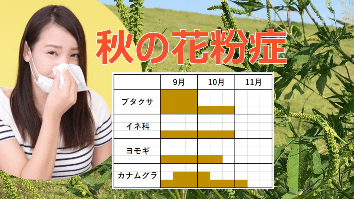 「秋の花粉症特集コーナー【2021年版】」をスタート！花粉の種類、花粉飛散情報や対策法など最新情報を公開