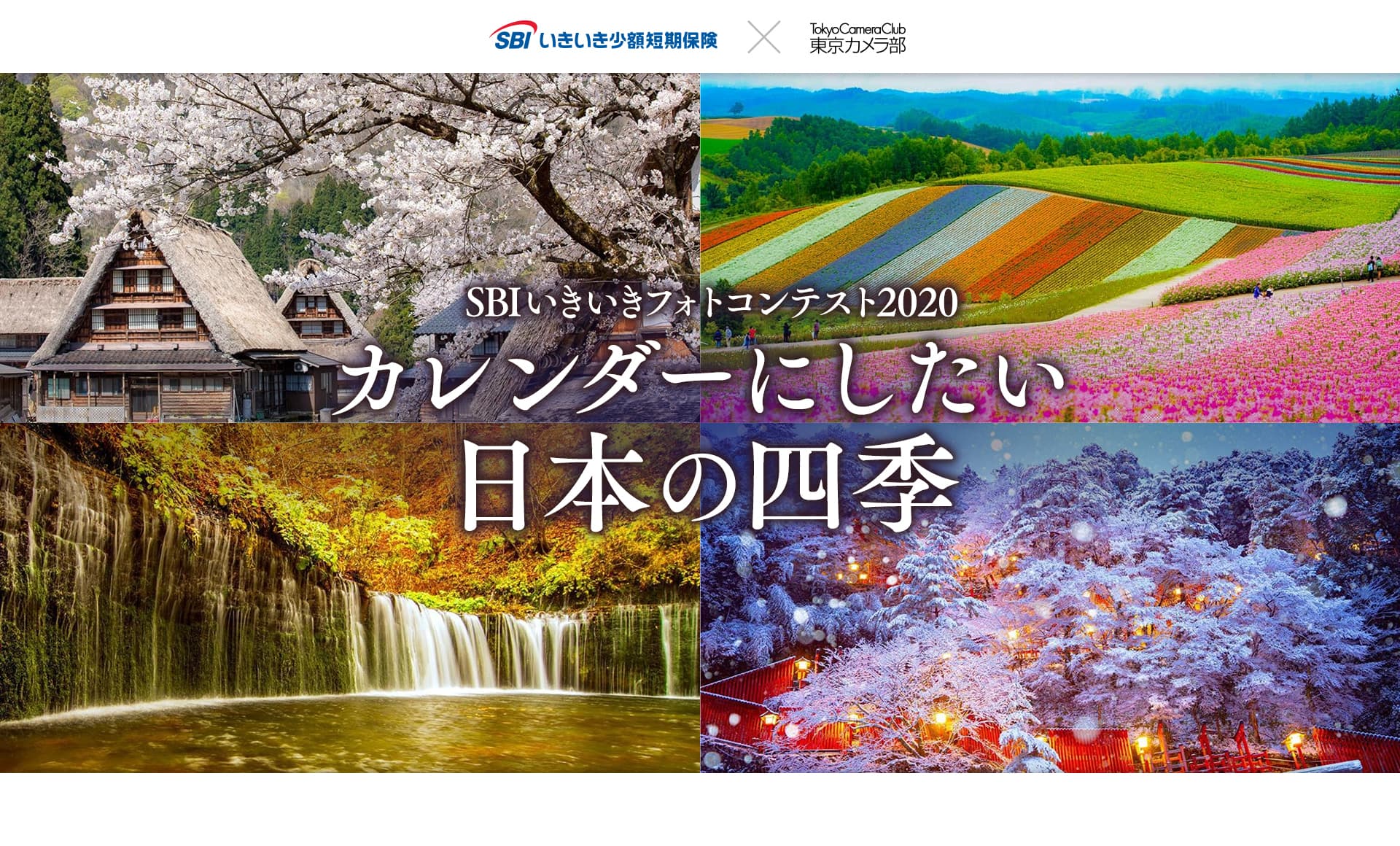 SBIいきいき少短　受賞作品がオリジナルカレンダーになる！「カレンダーにしたい日本の四季」をテーマに Instagramフォトコンテスト開催