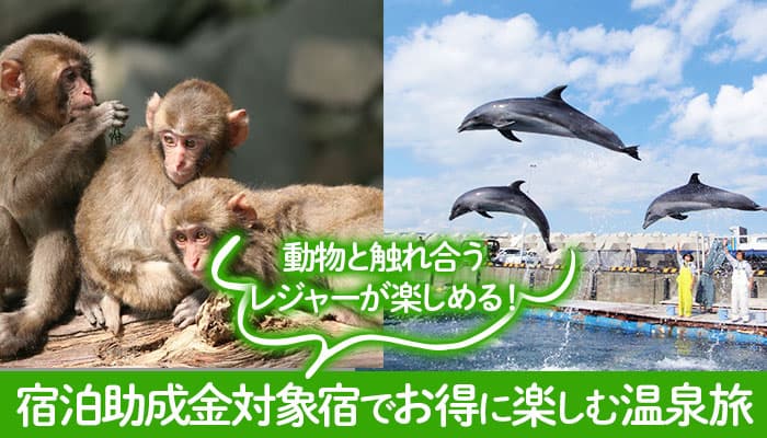 大分・静岡県民限定、県内観光促進事業による割引補助でお得に宿泊。大江戸温泉物語「別府清風」と「伊東 ホテルニュー岡部」は動物と触れ合えるレジャースポットにアクセス良好だから春のファミリー旅にお薦め！